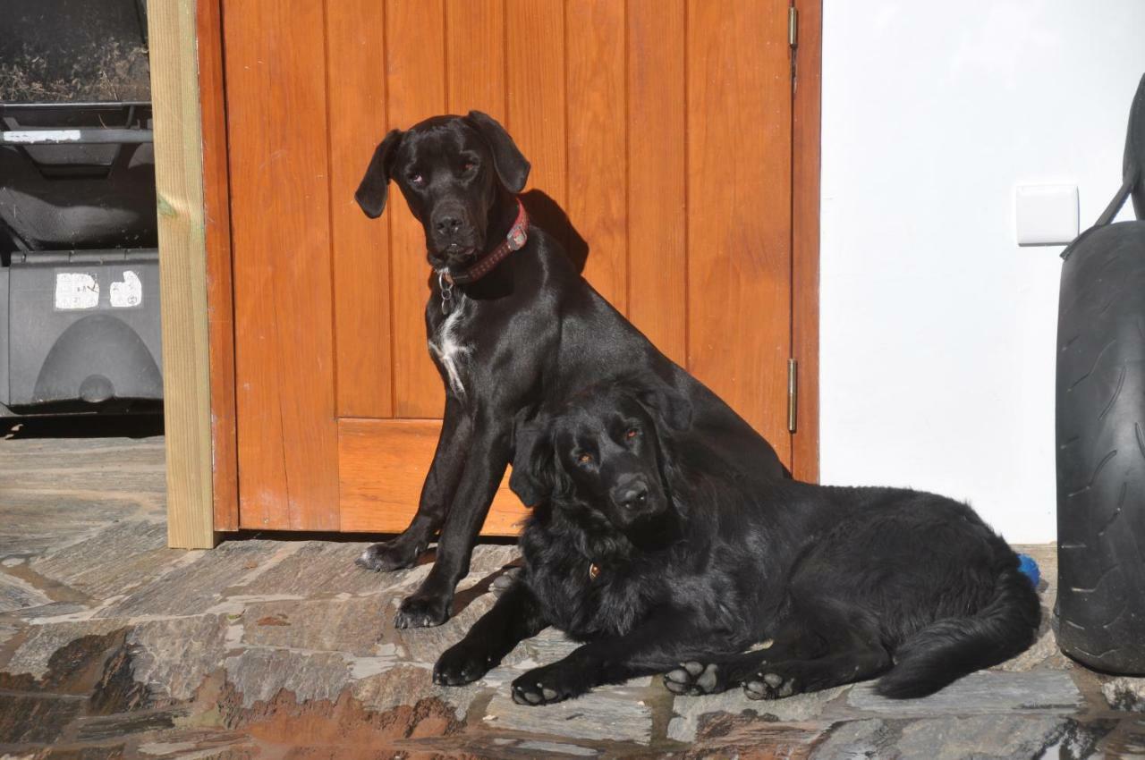 Quinta Do Bom Vento Guest House Obidos Luaran gambar